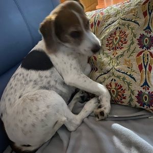 Meet your Posher, Marisa